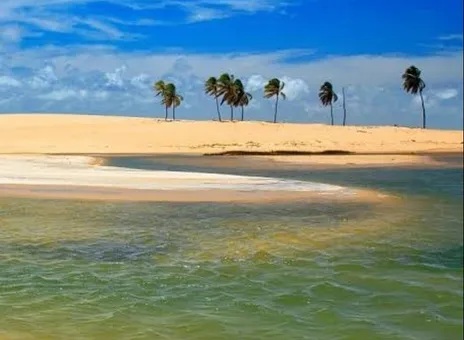 Banco de areia da foz do São Francisco com coqueiros ao fundo e a água rasa em primeiro plano