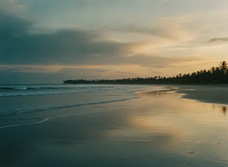 Praia deserta no fim da tarde, com a areia molhada refletindo o céu e coqueiros ao longe