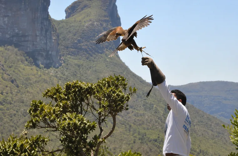 Parque dos Falcões